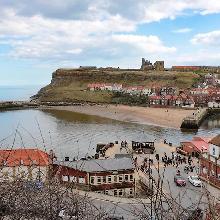 Destiny Rose Whitby